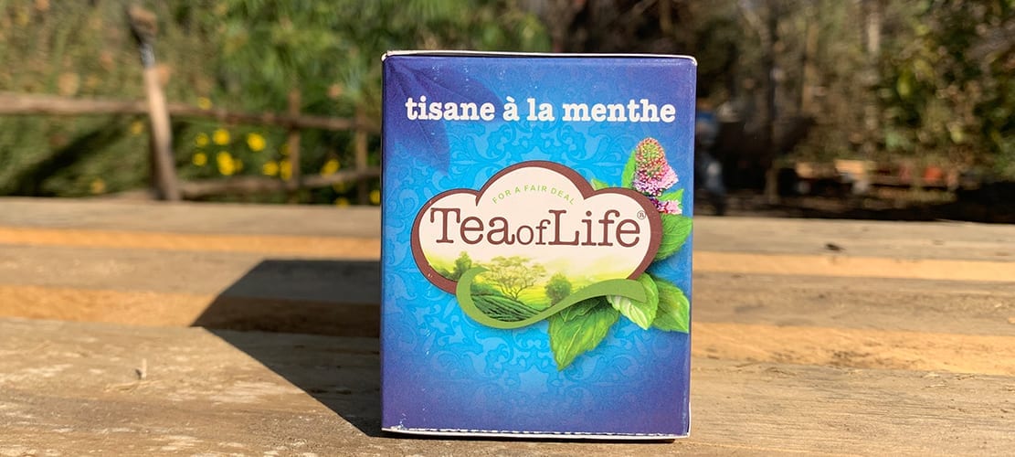 Menta Marroqui Tea of Life
